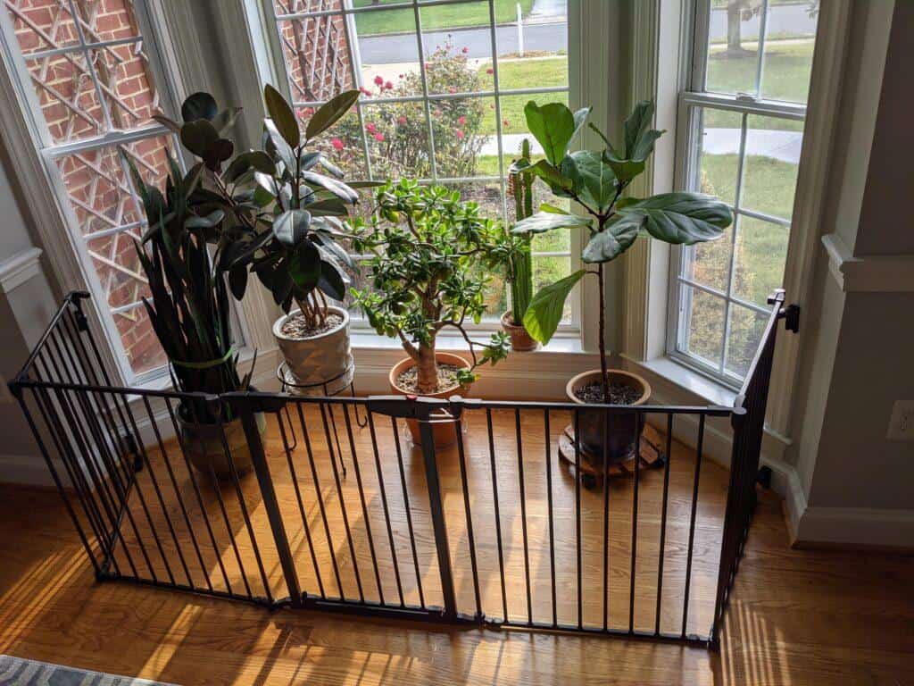 Plant Gate Baby Proof