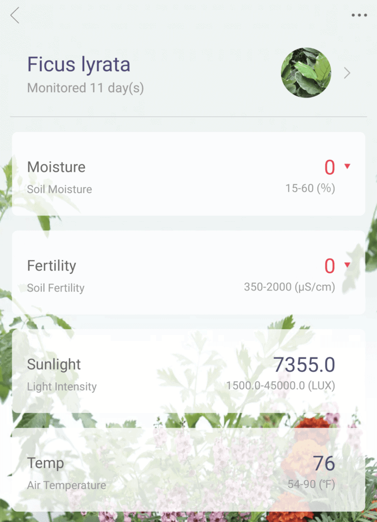 Dashboard for the light meter for plants.