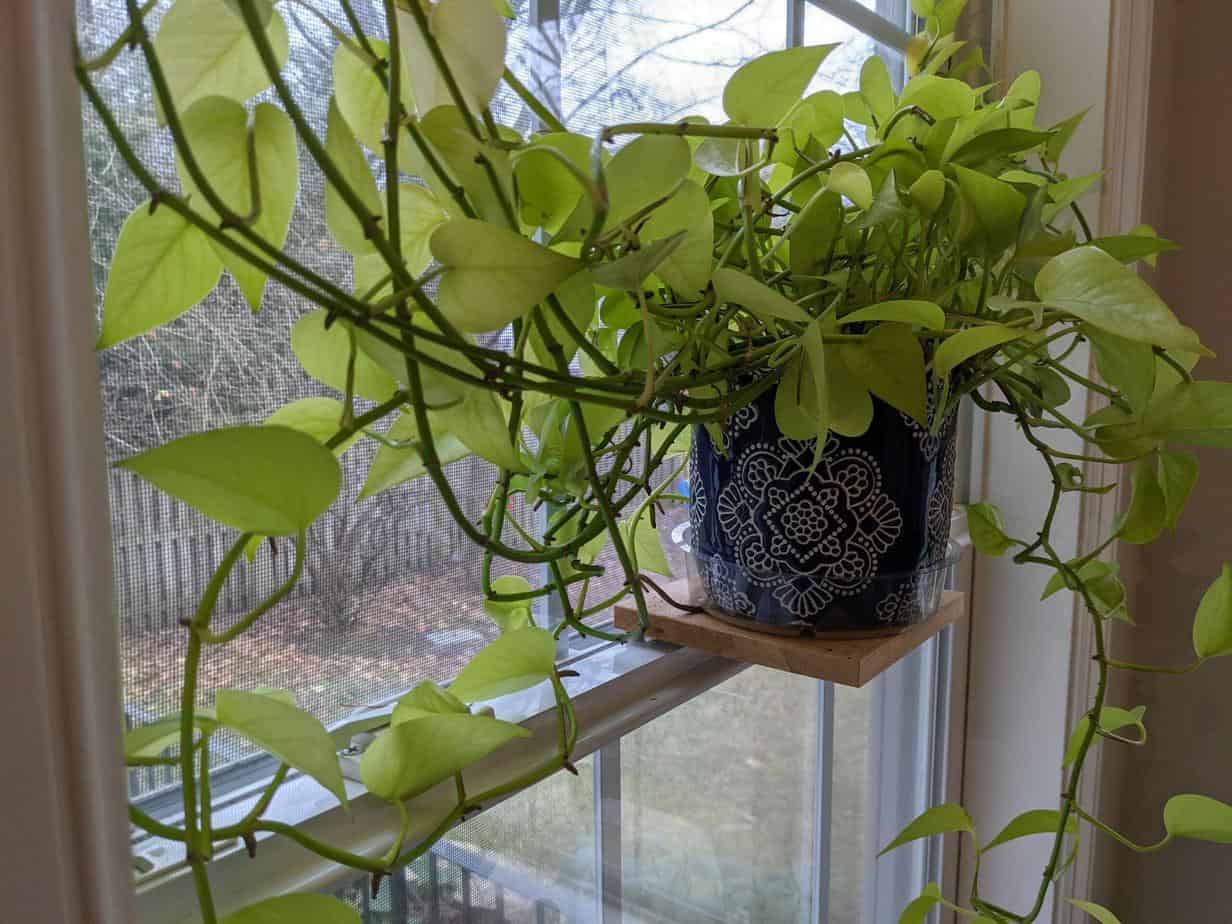 DIY window sill planter