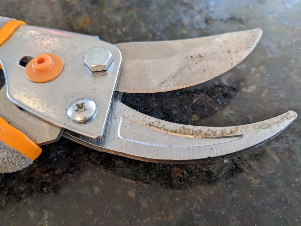 How to clean pruning shears